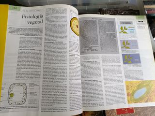 ENCICLOPEDIA TEMÁTICA GUINNES