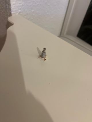 Alacena de pared blanca y plateada