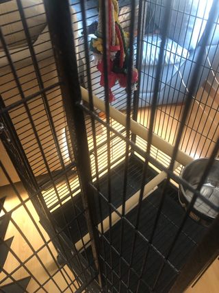 Jaula grande para loros o aves