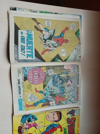 Peter Parker. Vértice. Completa. 70 € si vienes