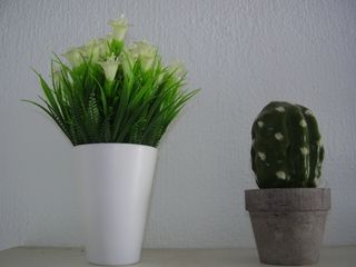 Olympus FE-170 Cámara Digital 6MP Plata