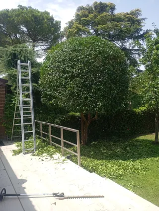 Jardinero y mantenimiento de piscinas programador