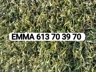 Venta césped