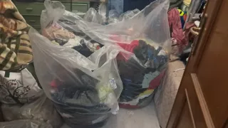 Lotto misto donna estivo