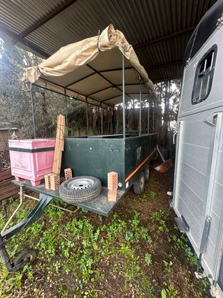 Alquilo remolque batea carriola