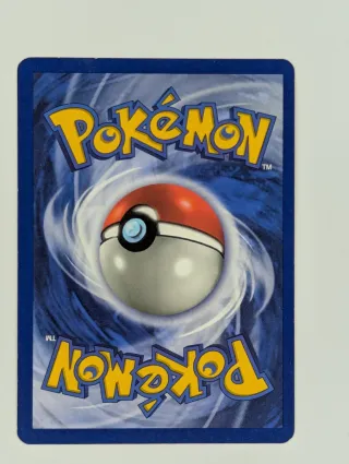 Lote Cartas Pokémon charmander +Bulbasaur