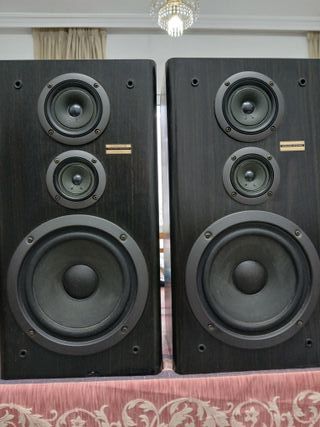 Pareja Altavoces Pioneer S-J300