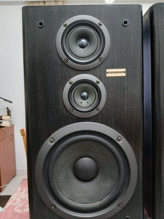 Pareja Altavoces Pioneer S-J300