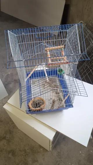 Jaulas para jilgueros