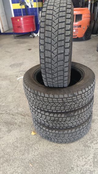 Neumáticos de Nieve