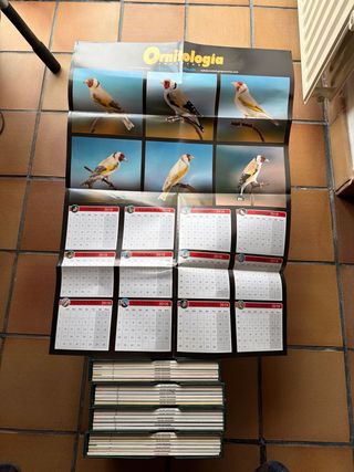 REVISTA ORNITOLOGÍA PRACTICA COMPLETA