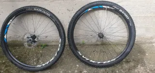 Ruedas 29 Vittoria Saguaro y Barzo