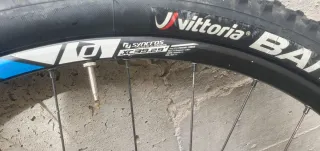 Ruedas 29 Vittoria Saguaro y Barzo