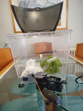 Pecera Acuario Transparente con Tapa Negra