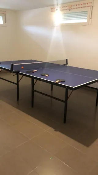 Mesa de ping pong azul