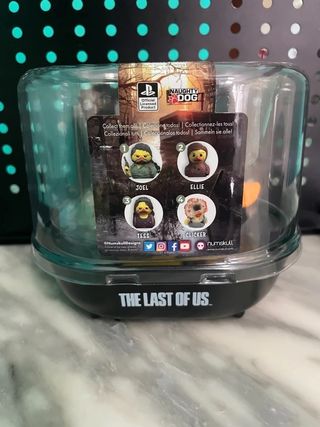 tess - duck in bath tub 3