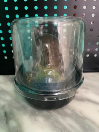 tess - duck in bath tub 3