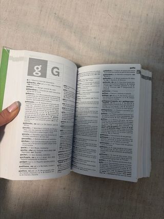 NUEVO DICCIONARIO BÁSICO DE LA LENGUA ESPAÑOLA ...