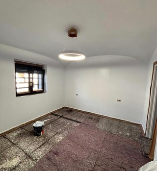 Se ofrece profesional de la pintura