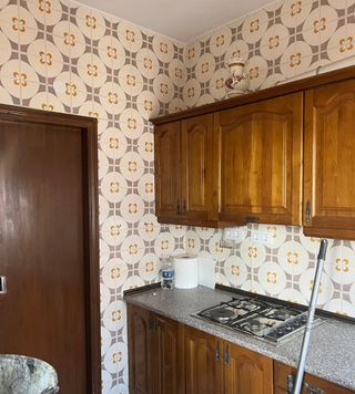 Se ofrece profesional de la pintura