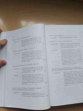 Derecho Penal Parte Especial 23ª Edición 2021 (...