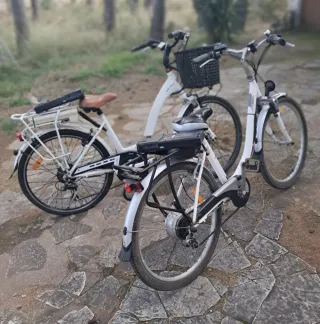 Biciclette elettriche bianche in vendita