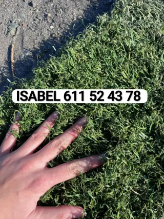 Venta césped