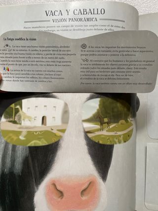 Libro infantil Zoóptica