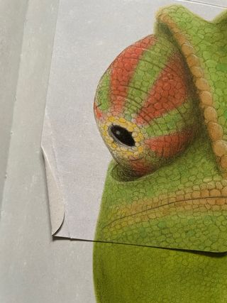 Libro infantil Zoóptica