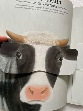 Libro infantil Zoóptica