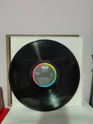 Vinilo Bonnie Raitt - Luck of the Draw