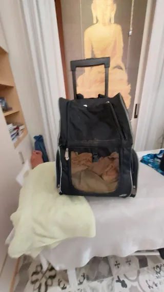 Transportín para perro o gato