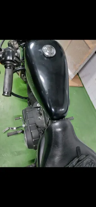 Harley-Davidson Sportster 883 Iron.