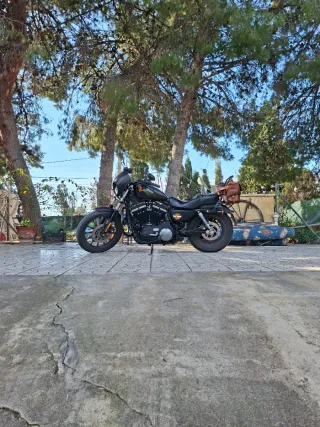 Harley-Davidson Sportster 883 Iron.
