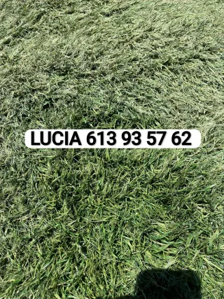 Venta césped artificial