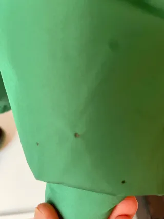 Cazadora verde con capucha