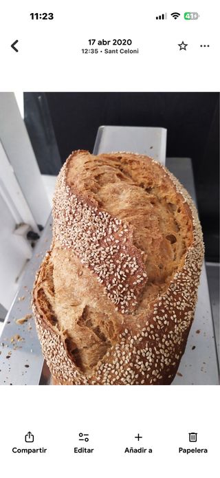 Traspaso panadería con tienda y obrador