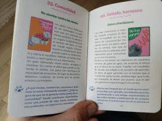 Oráculo El Gato Sabe - 45 cartas