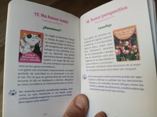 Oráculo El Gato Sabe - 45 cartas