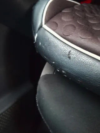 Silla coche Grupo 2/3