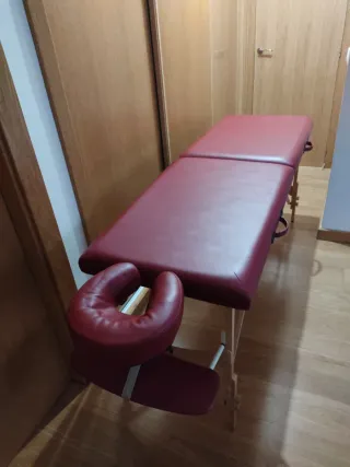 Camilla plegable con bolsa de transporte