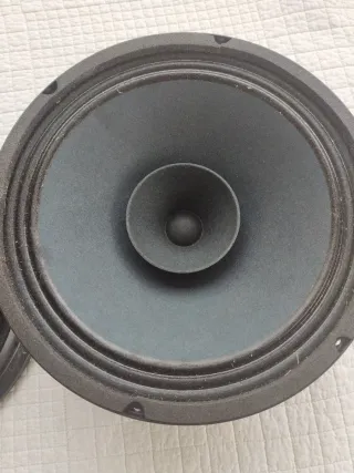 Altavoz Beyma 10AG
