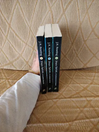 Harry Potter y la piedra filosofal (Harry Potte...