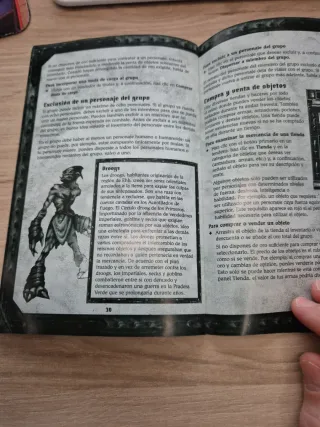 Manual Juego Dungeon Siege Microsoft