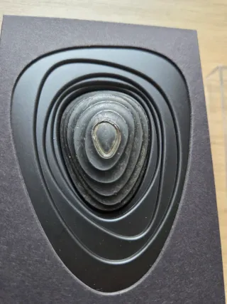 Stryd sensor de potencia