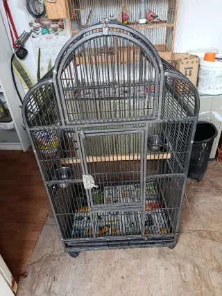 Jaula para Loros Grande.105x56x43