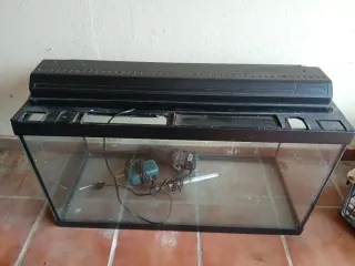 Pecera 100L con accesorios