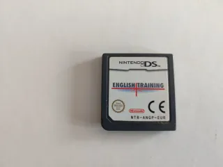 Nintendo DS English Training