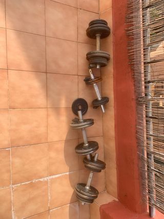 Mancuernas de gimnasio