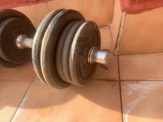 Mancuernas de gimnasio